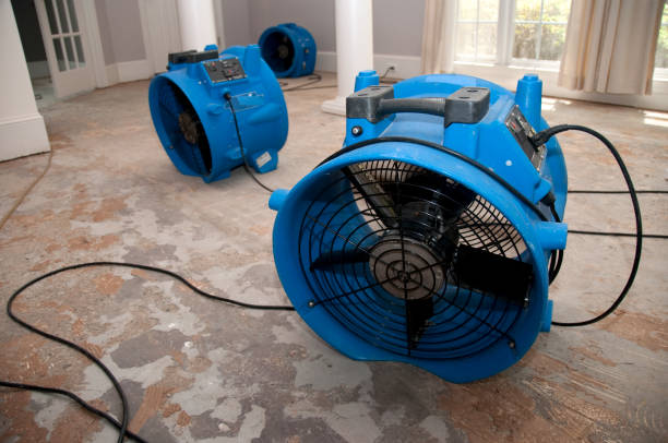 Best Water damage contractors near me  in Bostonia, CA