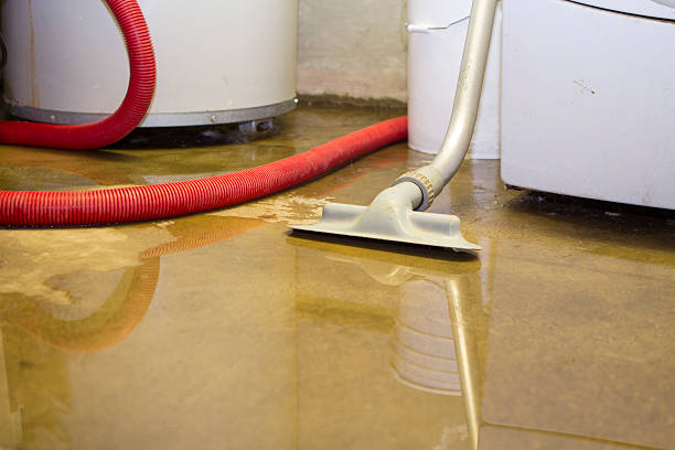 Best Emergency water damage restoration  in Bostonia, CA