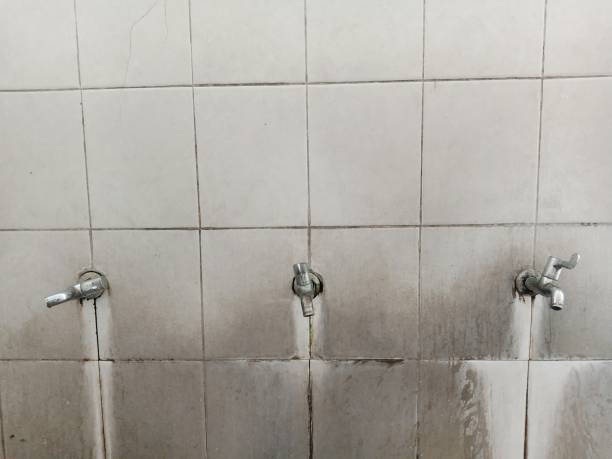Best 24-hour water damage restoration  in Bostonia, CA