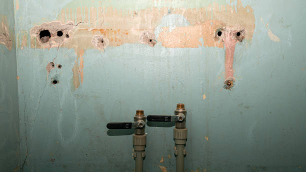 Best Water damage cleanup near me  in Bostonia, CA