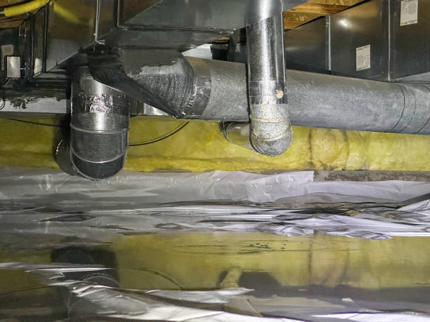 Best Water damage restoration process  in Bostonia, CA