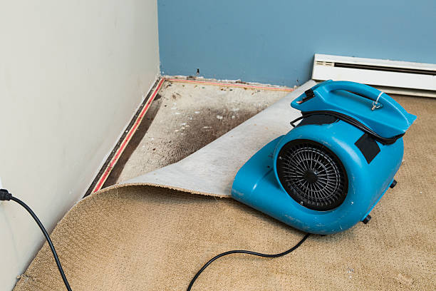 Best Residential water damage restoration  in Bostonia, CA